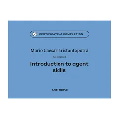 Introduction to agent skills