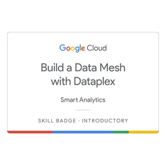 Build a Data Mesh with Dataplex